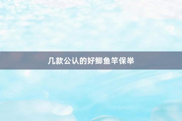 几款公认的好鲫鱼竿保举