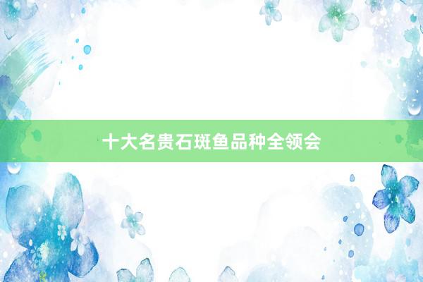 十大名贵石斑鱼品种全领会
