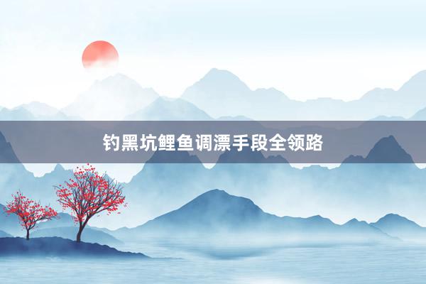 钓黑坑鲤鱼调漂手段全领路